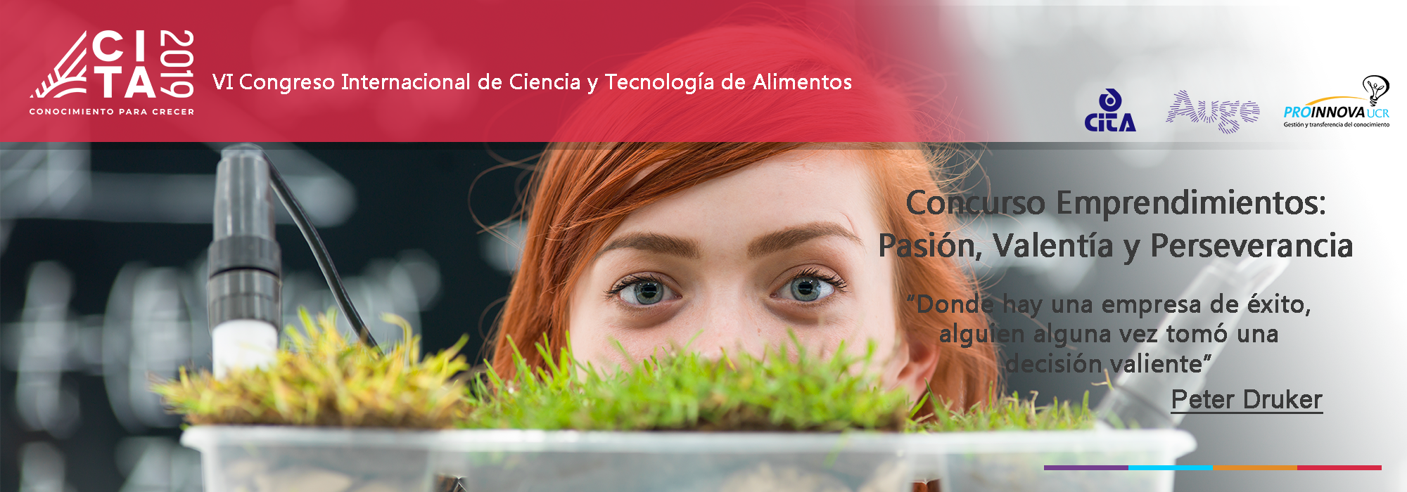 emprendedores